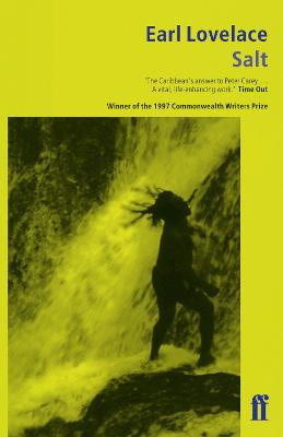 Salt bookcover