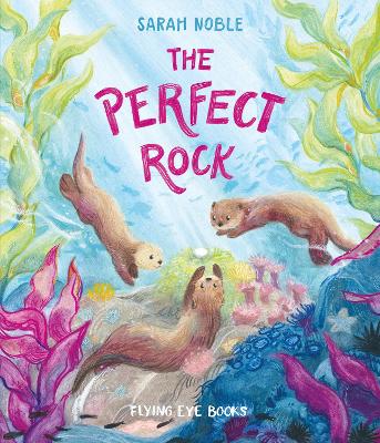 The Perfect Rock bookcover